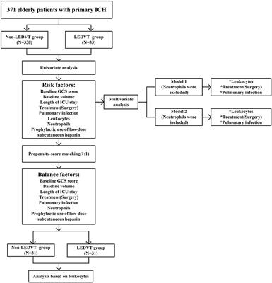 Leukocyte as an Independent Predictor of Lower-Extremity Deep Venous Thrombosis in Elderly Patients With Primary Intracerebral Hemorrhage